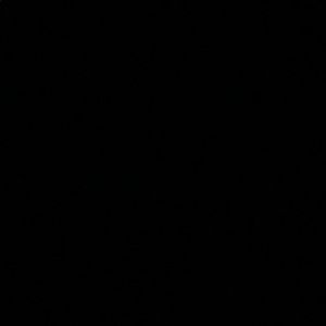 Meet your Posher, Briana